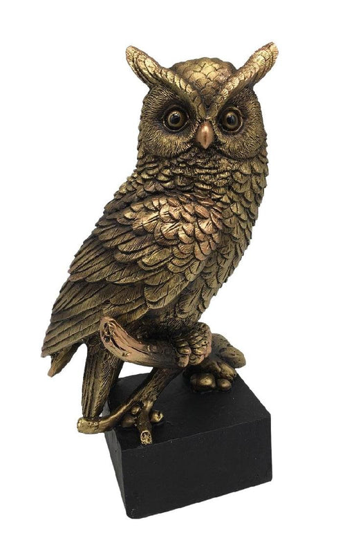 Bronze Owl Medium - Giftolicious
