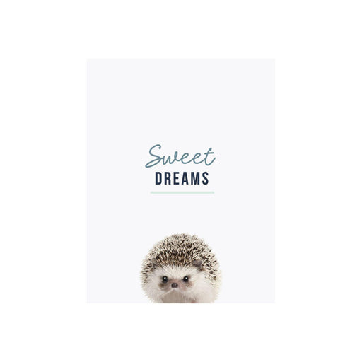Baby Door Plaque Sweet Dreams - Giftolicious