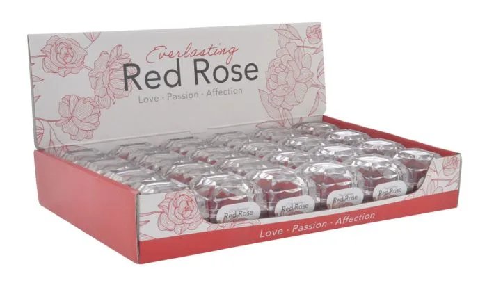 Everlasting Red Rose Box