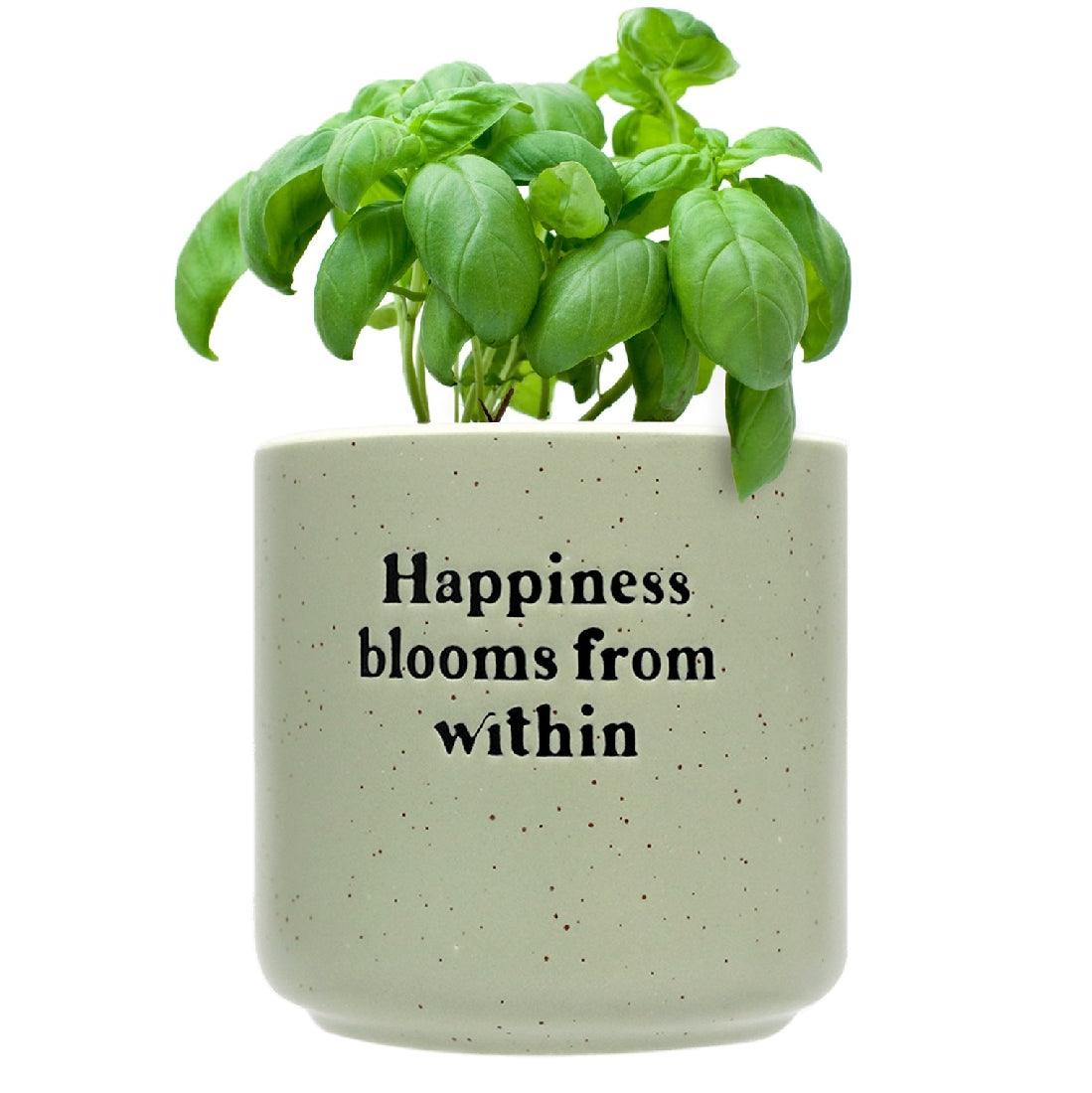 Bloom Collection
