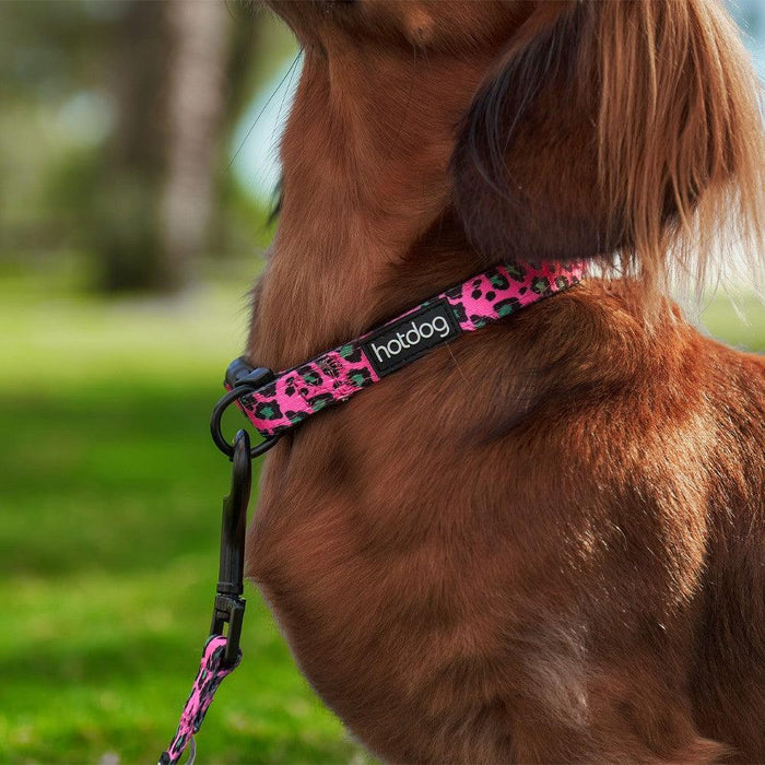 Hot Dog Collar Pink Ocelot Large - Giftolicious